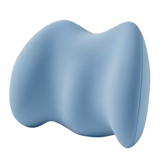 FREE Back Support Pillow
